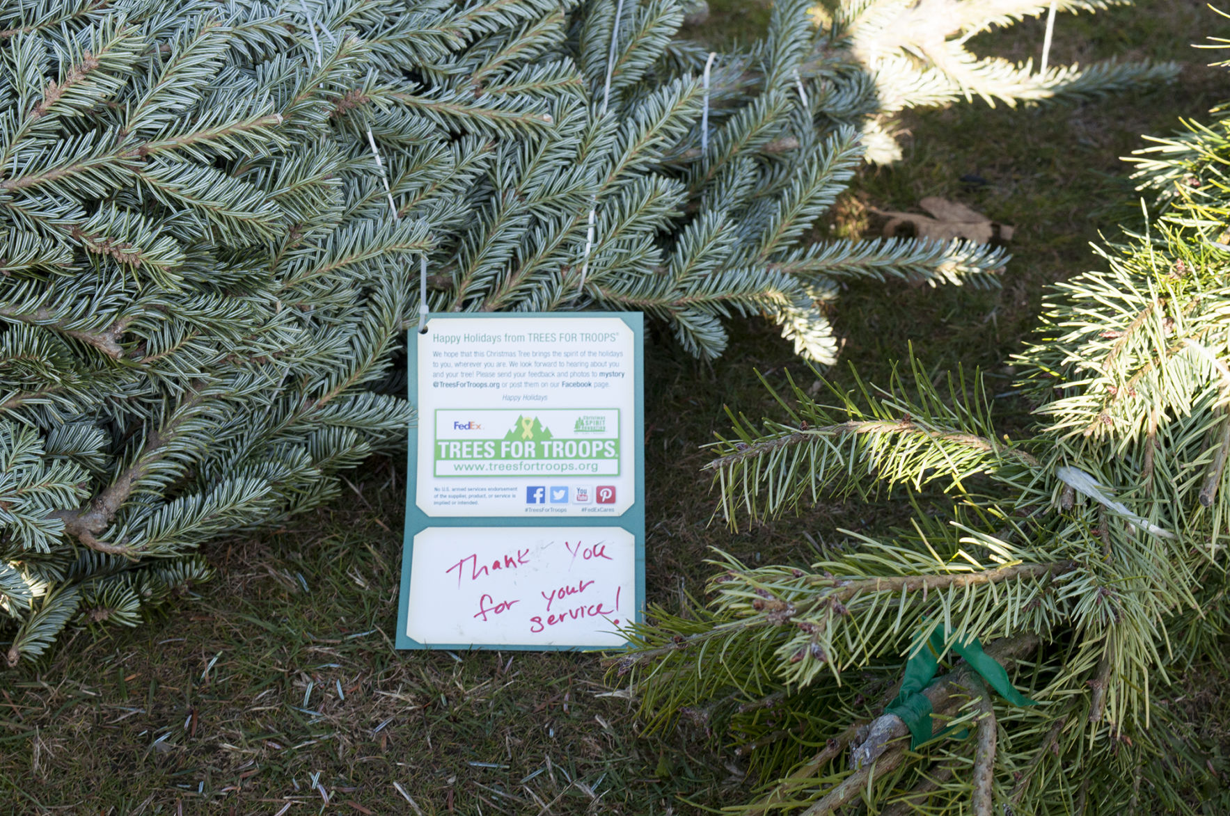 Trees for Troops